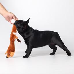 Hunde legetøj uden fyld Roadkills skinnies fox
